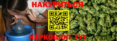 прущие крисы Можга