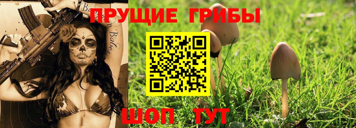 Псилоцибиновые грибы мухоморы  Вход с VPN  купить  цена  Ярославль 